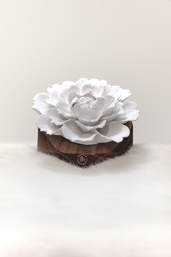 Hand-made Porcelain Diffuser